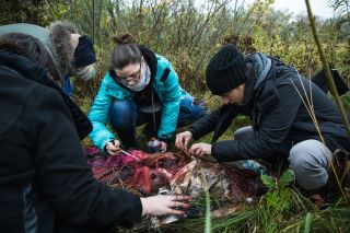 Belle Epoque, Odcinek 2,