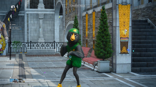 Moogle Chocobo Carnival