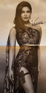 Baywatch. Słoneczny patrol - kalendarz 2017