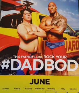 Baywatch. Słoneczny patrol - kalendarz 2017