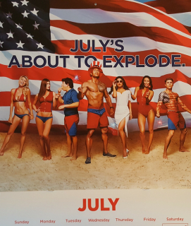 Baywatch. Słoneczny patrol - kalendarz 2017