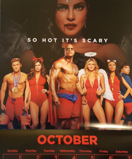 Baywatch. Słoneczny patrol - kalendarz 2017