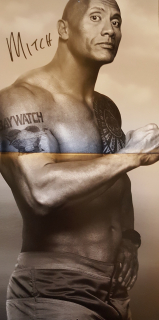 Baywatch. Słoneczny patrol - kalendarz 2017