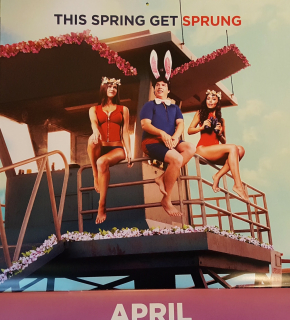 Baywatch. Słoneczny patrol - kalendarz 2017