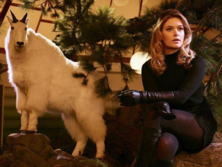 Legion - zdjęcie promocyjne serialu