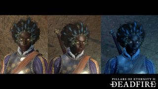 Pillars of Eternity II: Deadfire