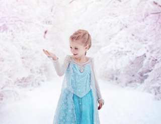 Magical World of Princesses - Camillia Courts