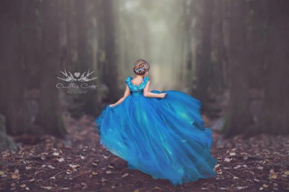 Magical World of Princesses - Camillia Courts