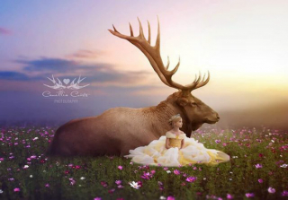 Magical World of Princesses - Camillia Courts