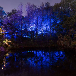 aDisney World Avatar