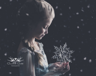 Magical World of Princesses - Camillia Courts