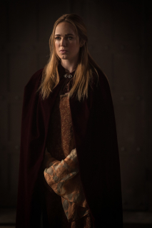 Legends of Tomorrow: sezon 2, odcinek 12 - zdjęcie