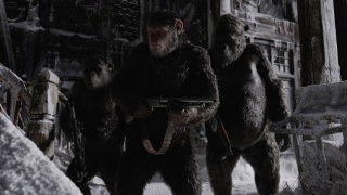 wojna o planetę małp