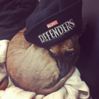 The Defenders - logo