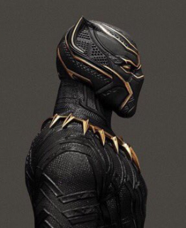 Black Panther - zdjęcie