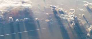 The Narrow World - zdjęcie z filmu