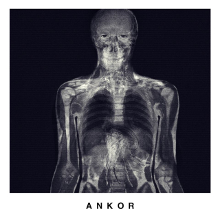 Obcy: Przymierze - zdjęcie rentgenowskie