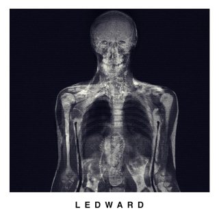 Obcy: Przymierze - zdjęcie rentgenowskie