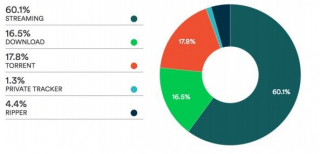 Kategorie formy korzystania z pirackich stron