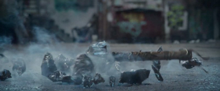 Thor: Ragnarok - zdjęcie