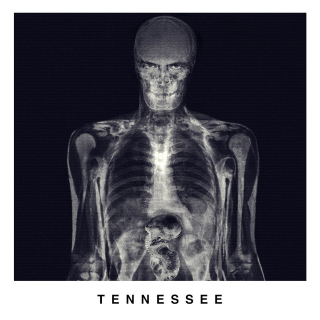 Obcy: Przymierze - zdjęcie rentgenowskie