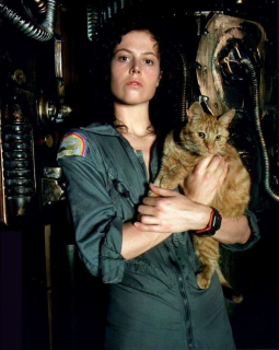 Obcy - 8. pasażer Nostromo - zdjęcie z planu