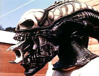 Obcy - 8. pasażer Nostromo - zdjęcie z planu