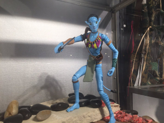 Pandora: The World Of Avatar