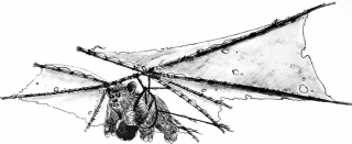 Oryginalne szkice koncepcyjne z Powrotu Jedi