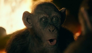 Wojna o planetę małp