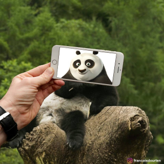 Francois Dourlen i jego prace