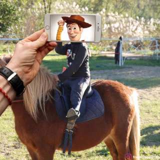 Francois Dourlen i jego prace