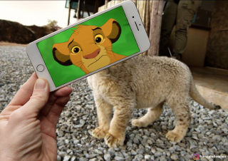 Francois Dourlen i jego prace