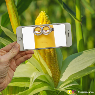 Francois Dourlen i jego prace