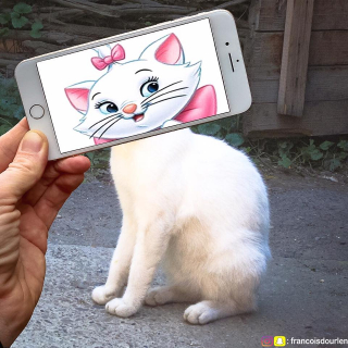 Francois Dourlen i jego prace