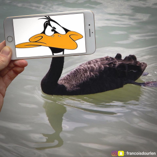 Francois Dourlen i jego prace