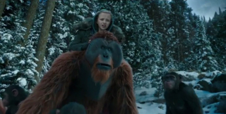 Wojna o planetę małp