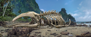 Piraci z Karaibów: Zemsta Salazara - szkic koncepcyjny