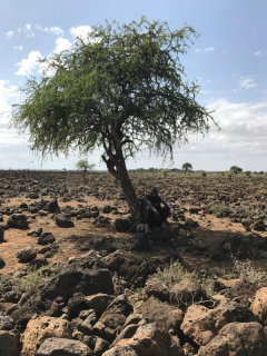 Botoks – zdjęcie z planu