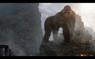 Kong – Making of