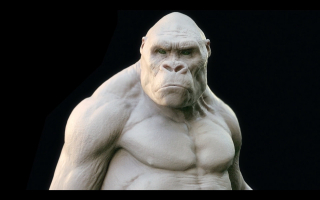 Kong – Making of