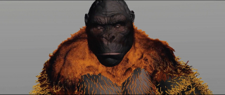 Kong – Making of