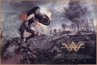 Wonder Woman - plakat fanowski