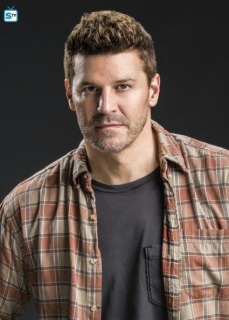 Obsada serialu SEAL Team