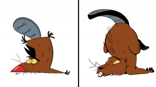 Elena Manetta - galeria