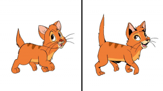 Elena Manetta - galeria