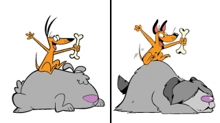 Elena Manetta - galeria