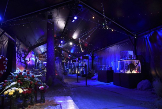 Stranger Things na San Diego Comic-Con 2017