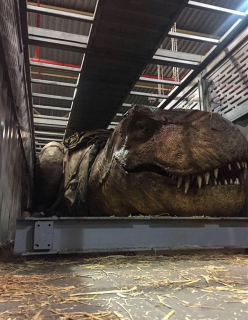 Jurassic World: Fallen Kingdom - zdjęcie modelu tyranozaura