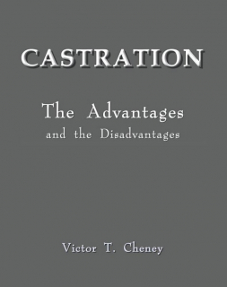 Najgorsze tytuły i okładki książek - zdjęcie
